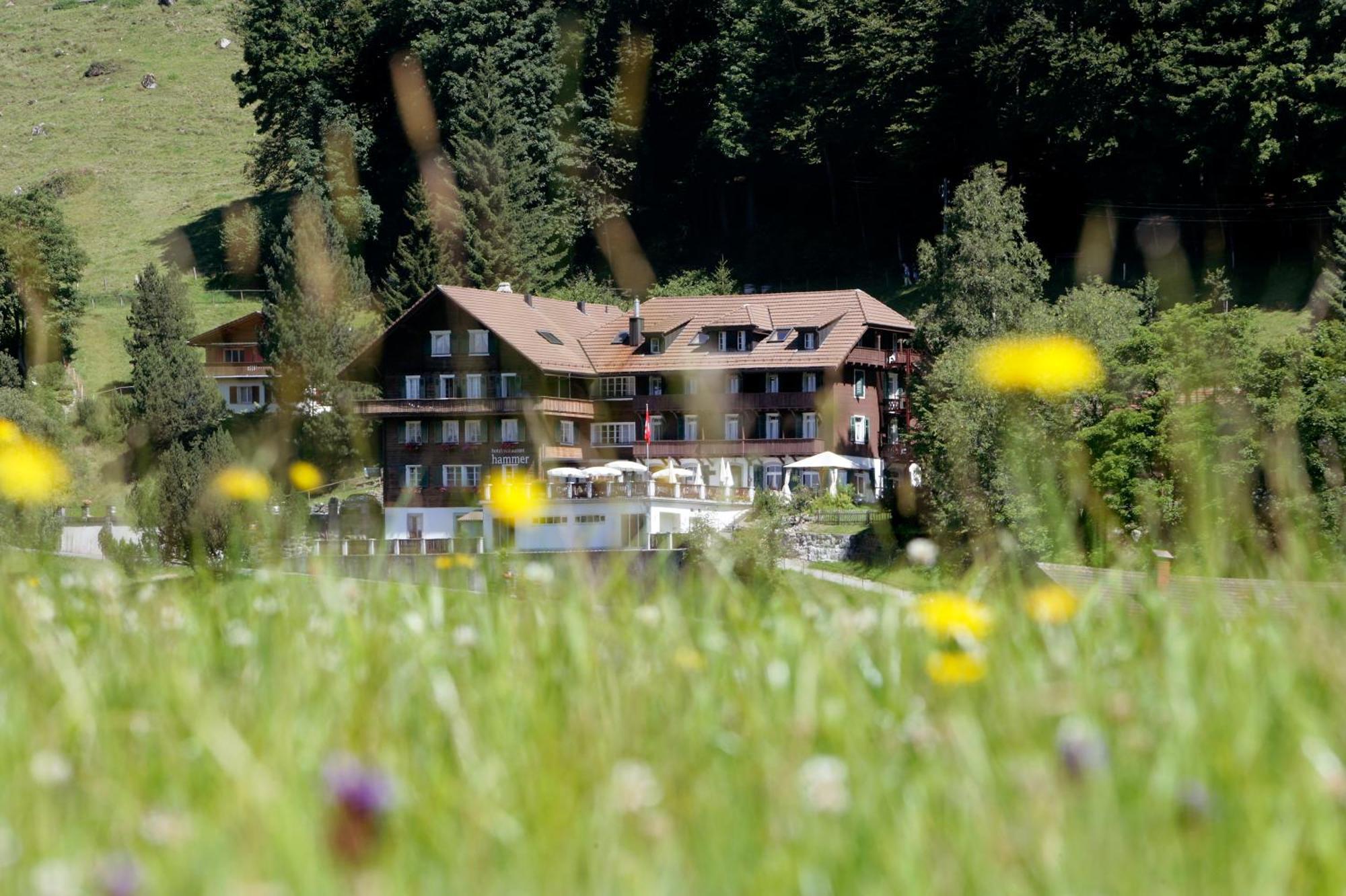 Hotel Restaurant Hammer Eigenthal Exterior foto